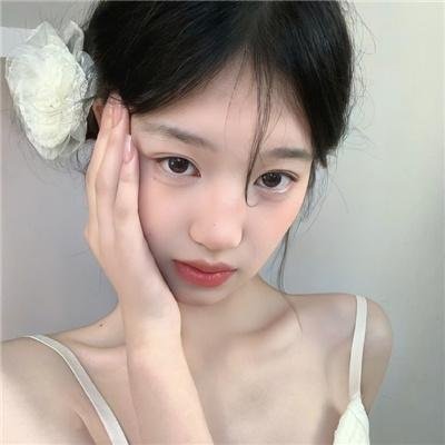 鸭子的天空